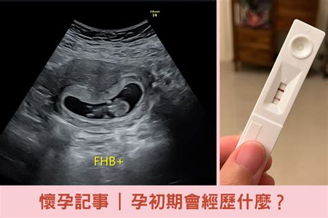 懷孕房間可以掃地嗎|初期懷孕可以掃地和拖地嗎？